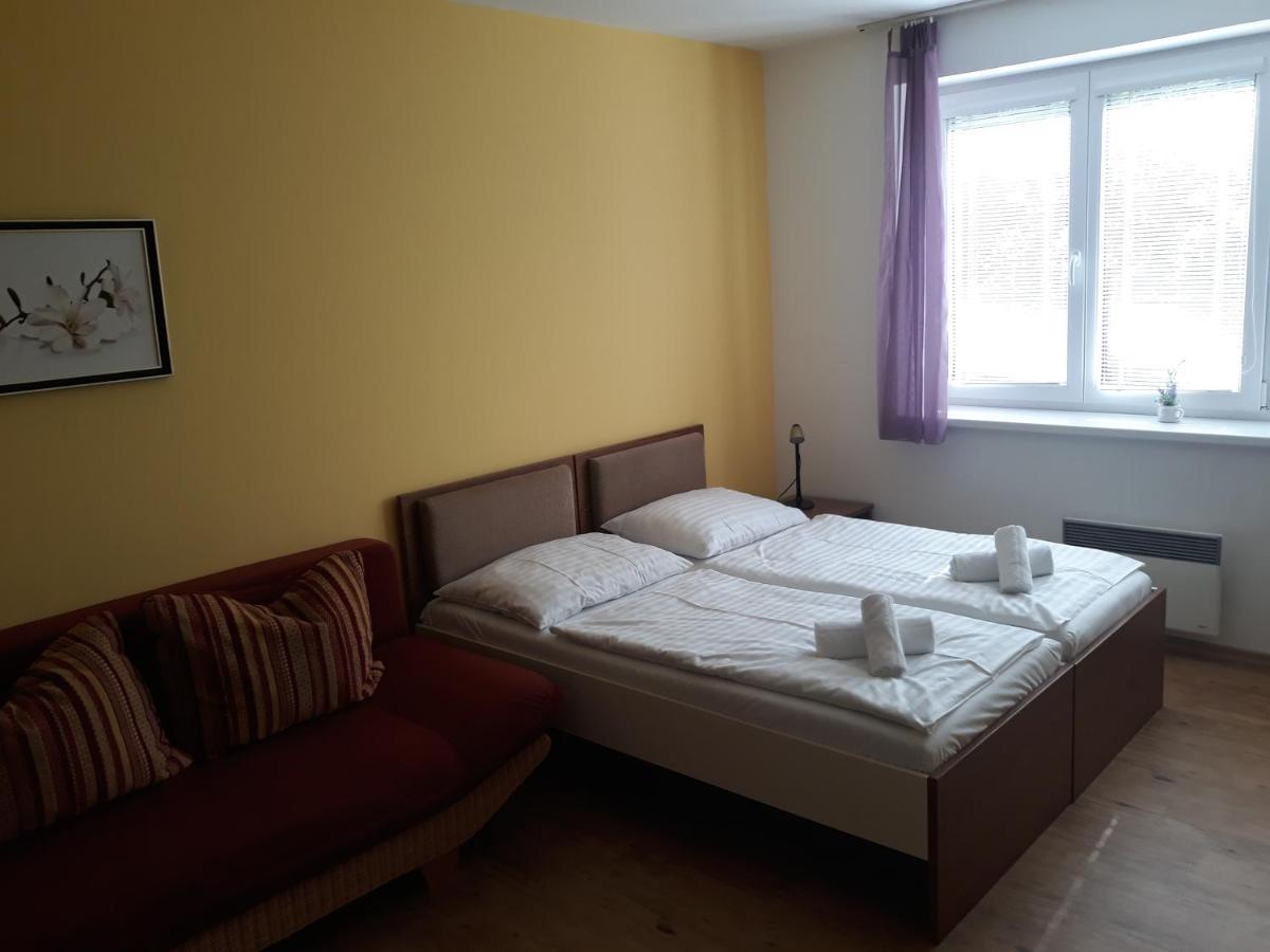 Apartman Richard Lipno nad Vltavou Exteriör bild