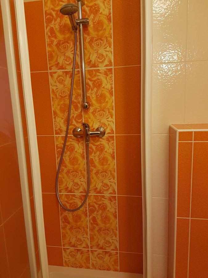 Apartman Richard Lipno nad Vltavou Exteriör bild